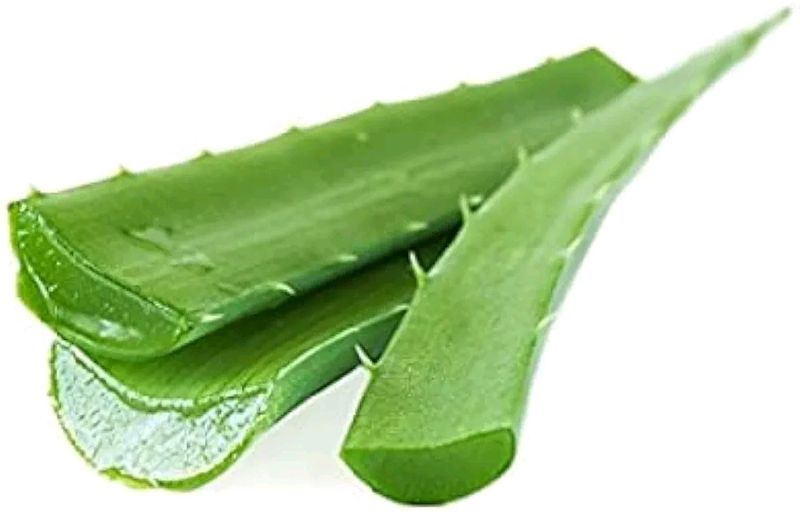 Aloevera Fresh Leaves 500gms