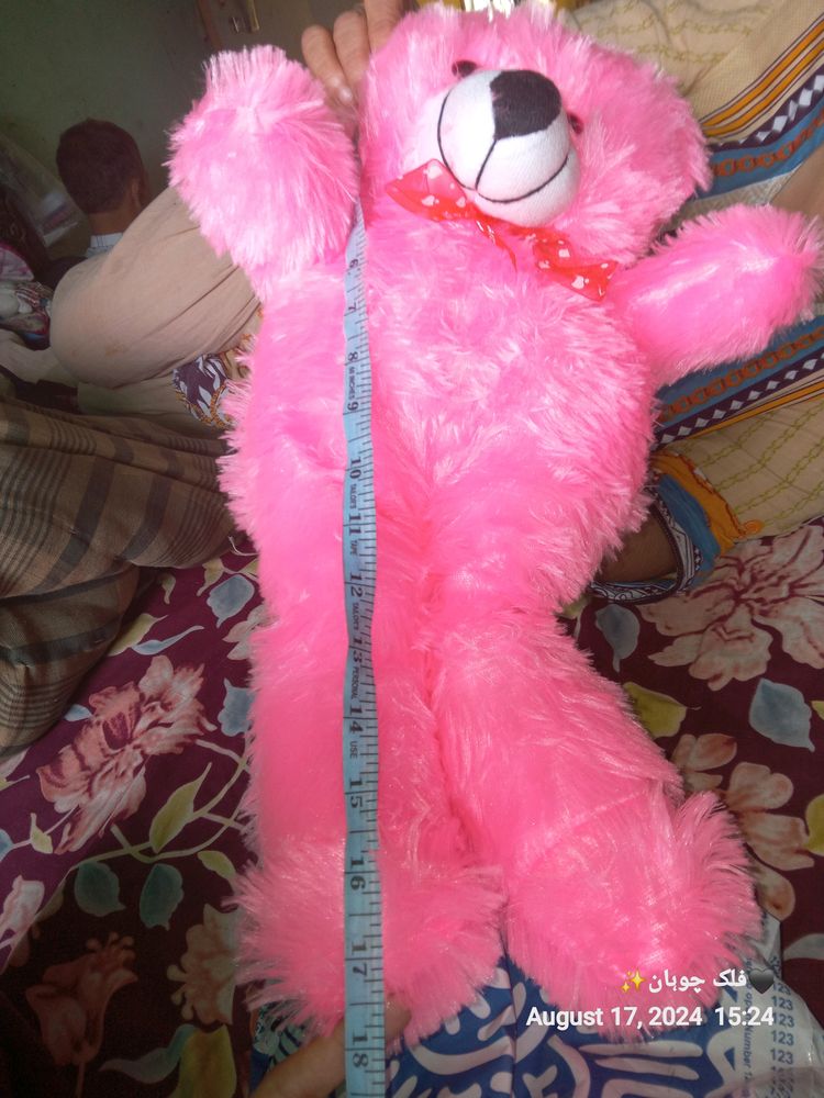 Pink Teddy New