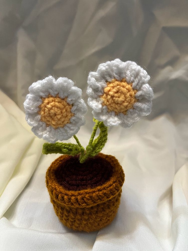 Daisy Pot