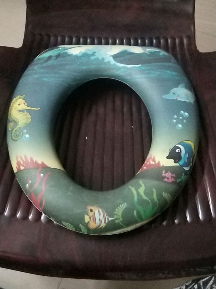 Used Potty Seat For Western Toilets