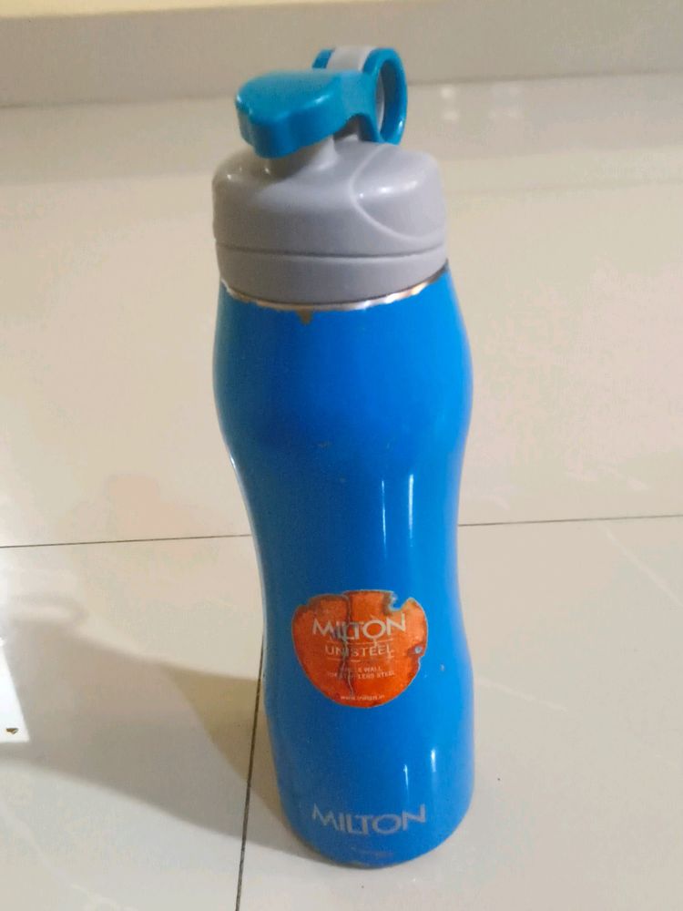 Stainless Steel Milton Water Bottle 500ml