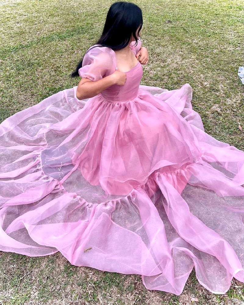 Organza Princess Dress