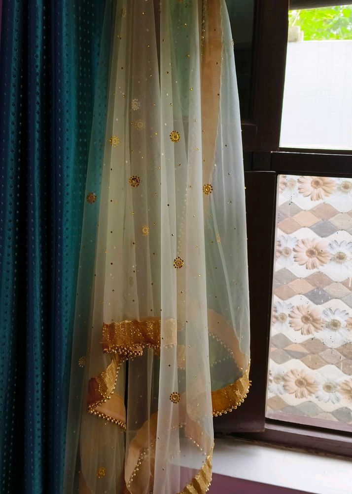 Net Dupatta With Stone Work