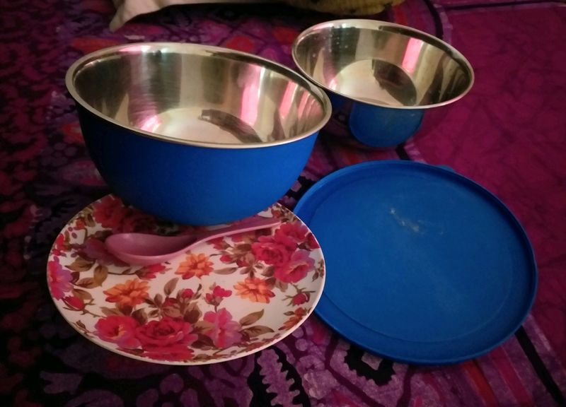 Two Big Steal Bowls, Spoon And Plate