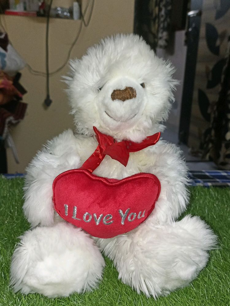 White Teddy Soft Toys