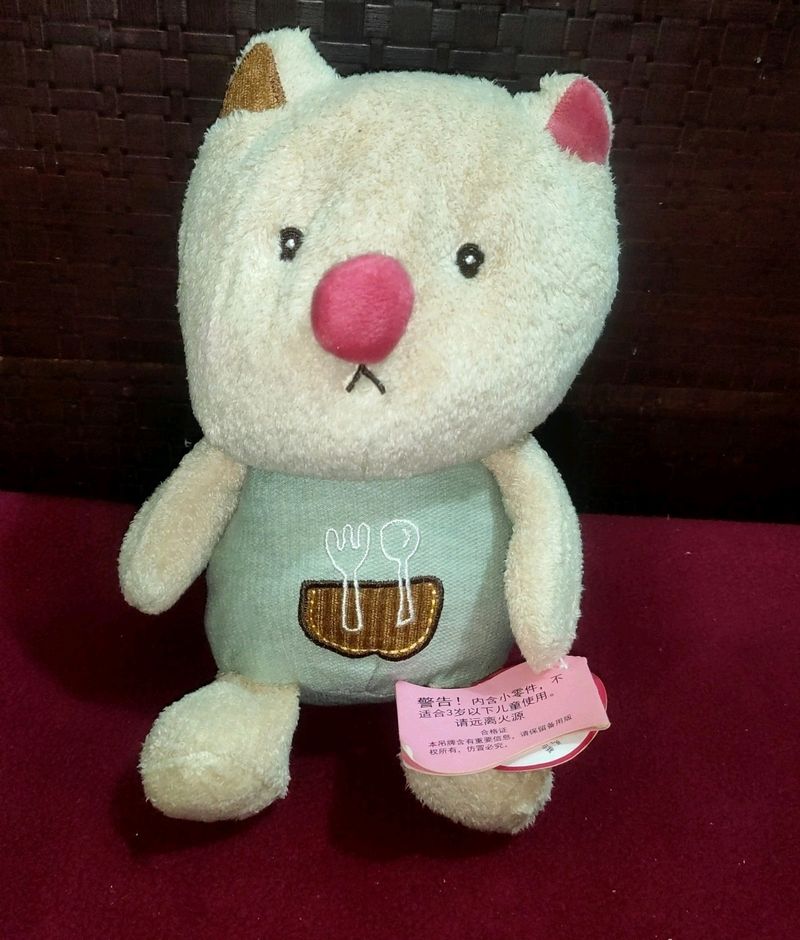 Teddy Plus