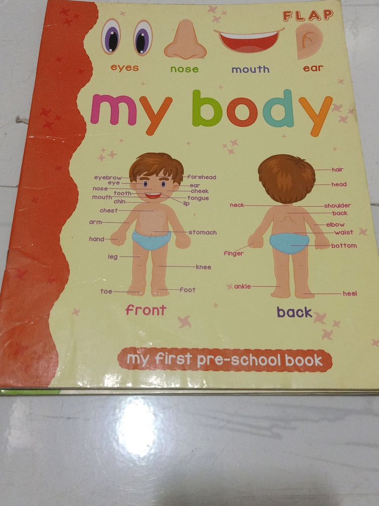 My body Preschool Book