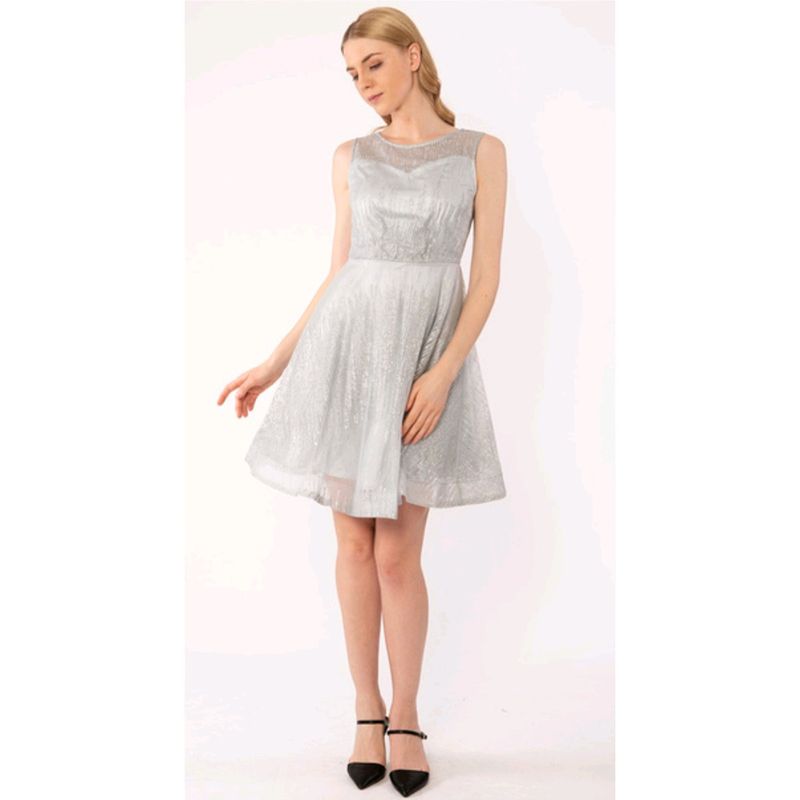 Mini Net Cute Frock Dress