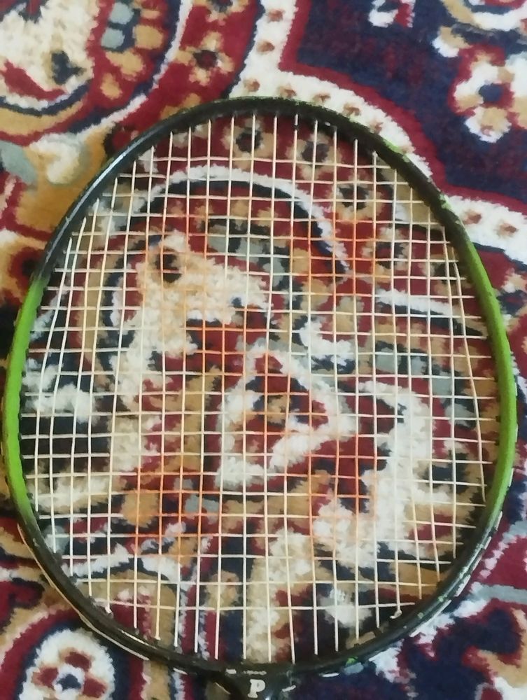 Nice Badminton