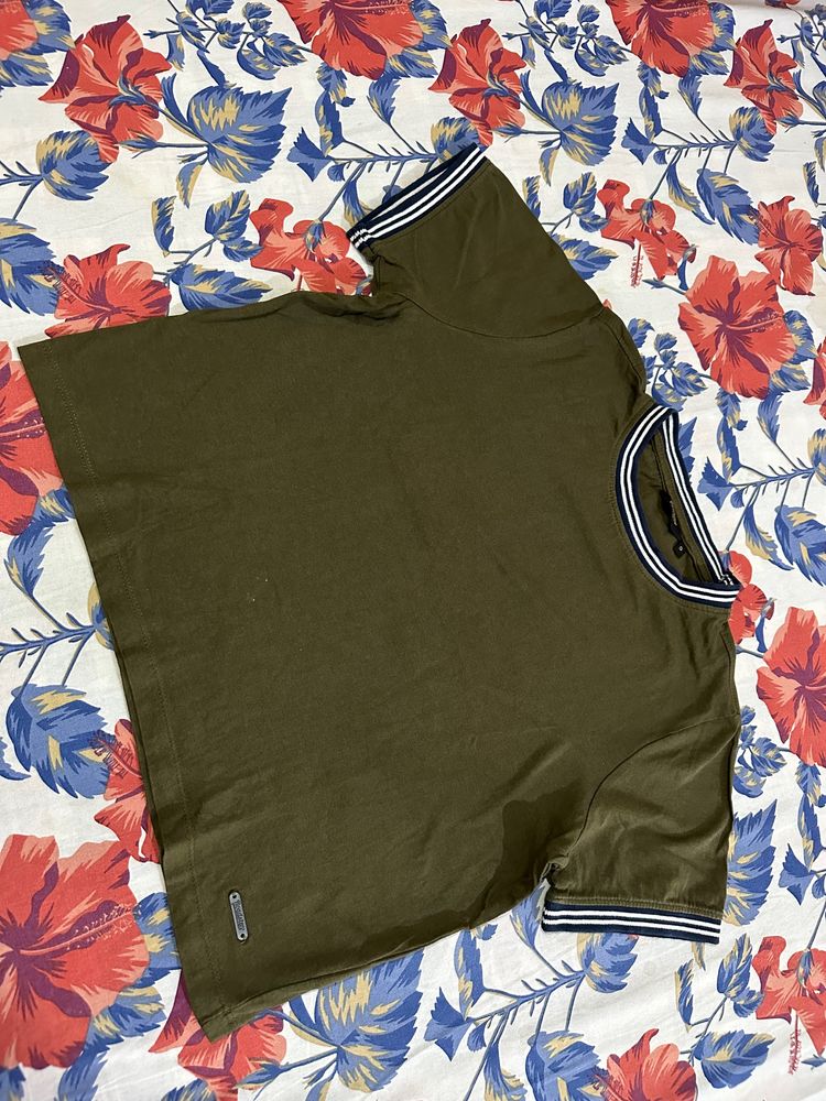 Roadster Crop Top, Olive Color