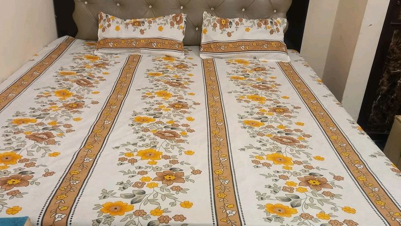 Glace Cotton Bedsheet
