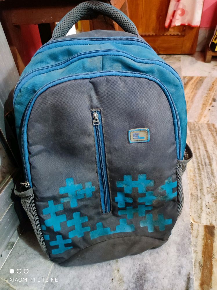 Good Condition Sreeleathers Backpack