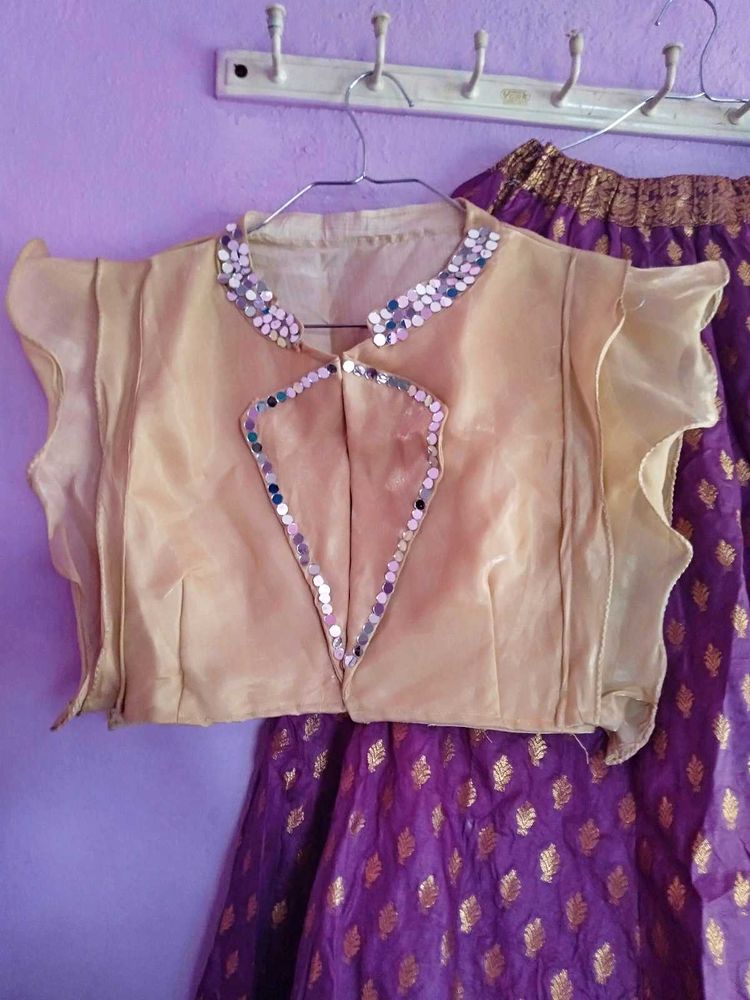 Jacket Style Blause With Banarasi Skirt