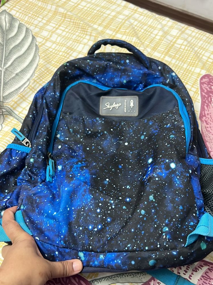 Skybags Backpack