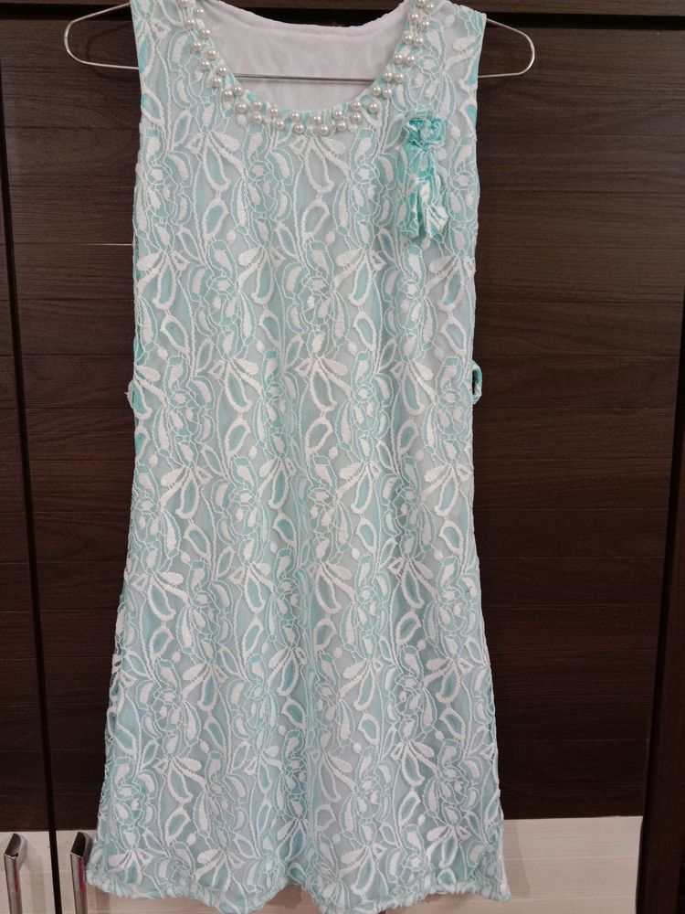 Embroided Chikankari Net Dress