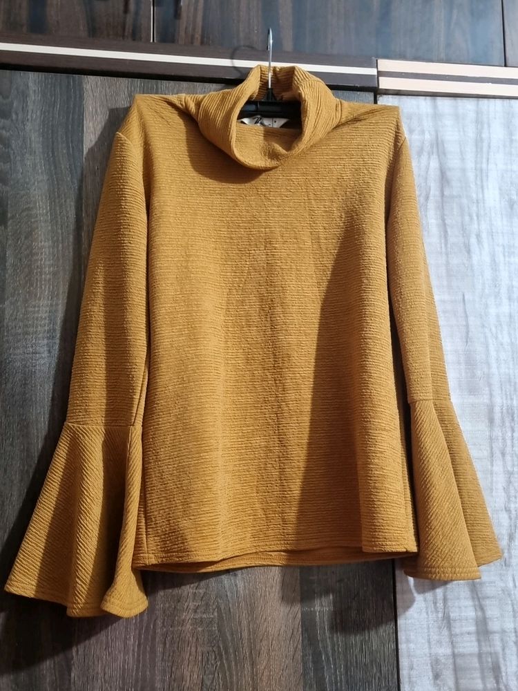 Turtle Neck Bell Sleeve Top