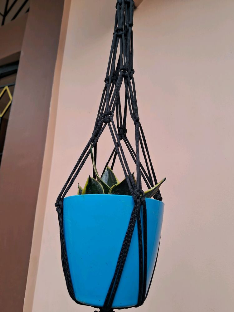 Macrame Black Colour Flower Pot Hanging