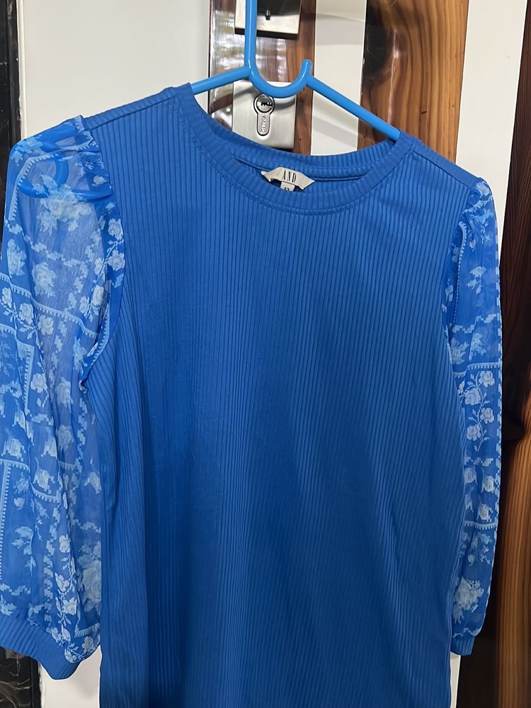 And Blue Top With Puffed Sleeves