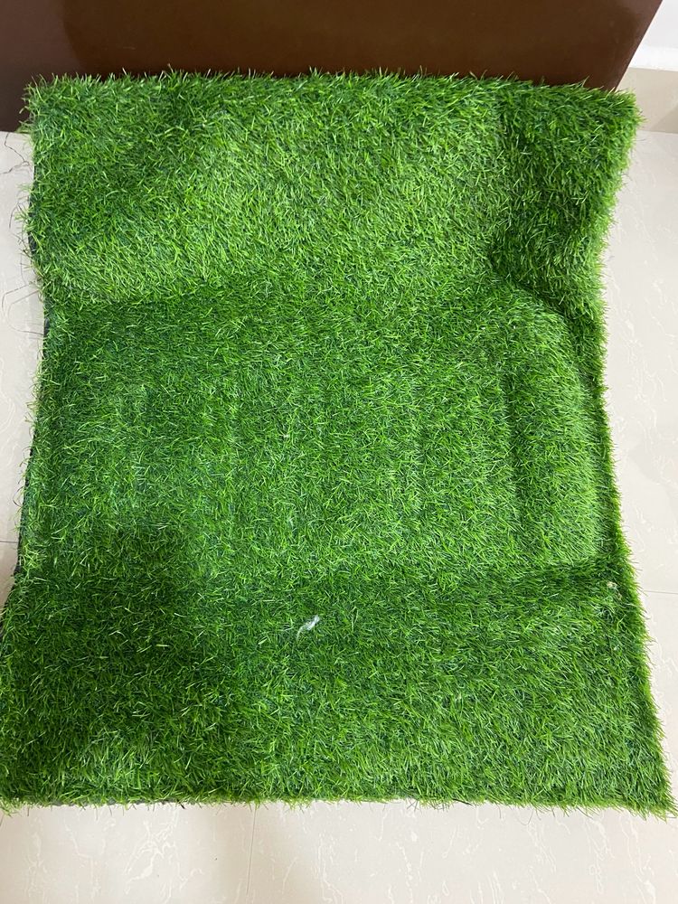 Artificial Grass