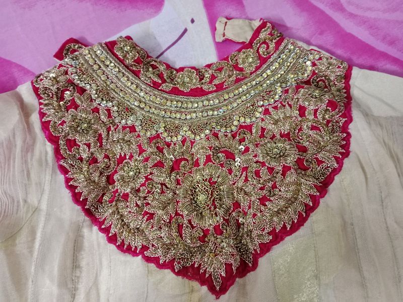 Velvet Design Net Anarkali Type Top