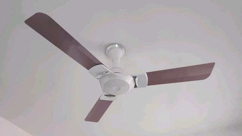 New Ottomate Bldc With Remote Speed Fan Pink