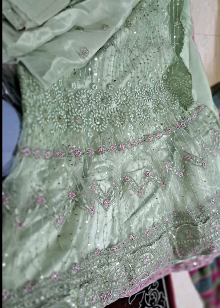 Pista Colour Lehenga Choli