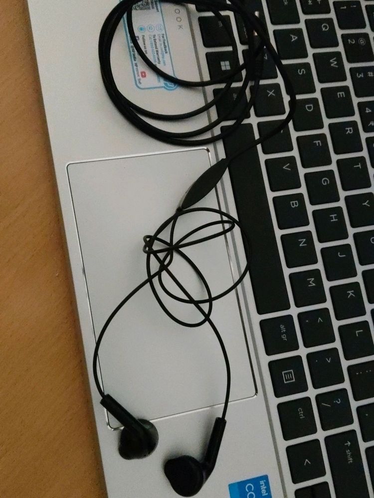 Original Sumsang Headphone