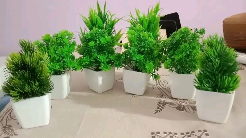 6 Artificial Plant ☘️