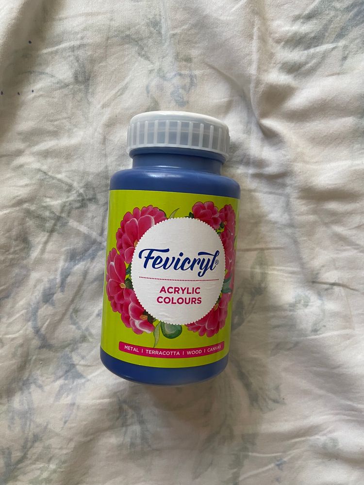 Fevicryl Acrylic Paint