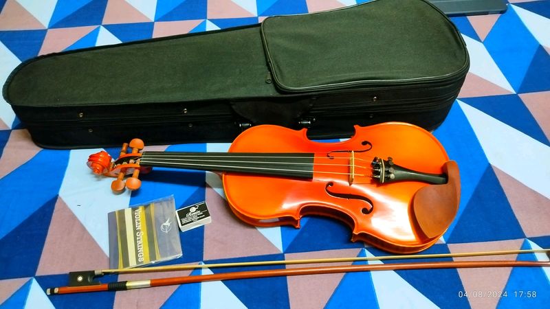 Violin