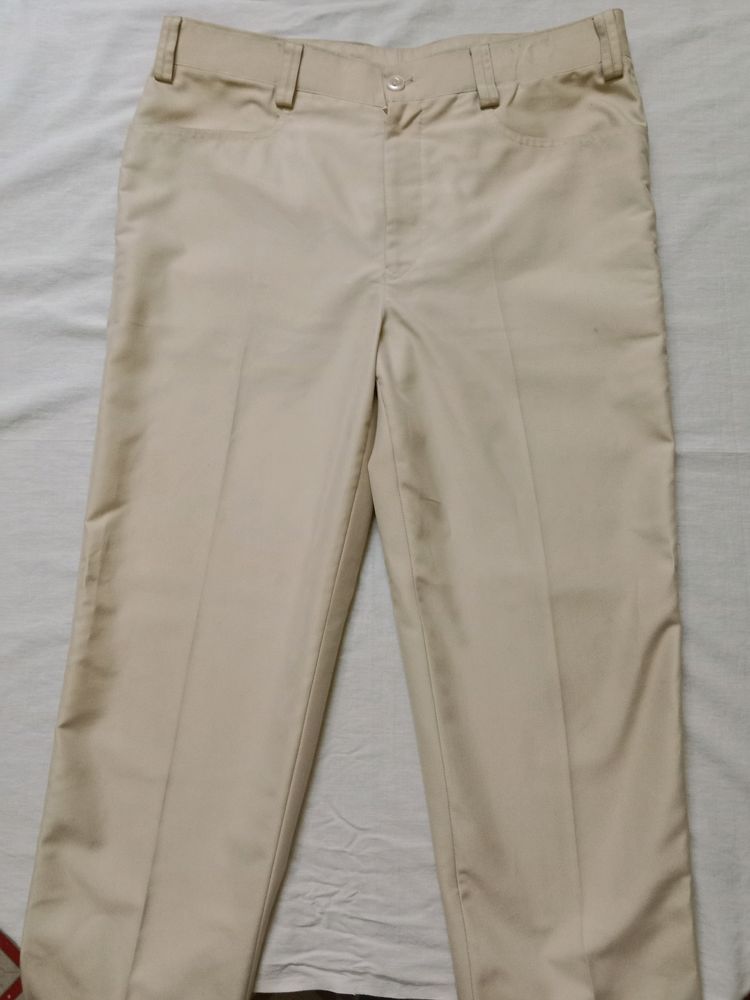 Beige Formal Pants