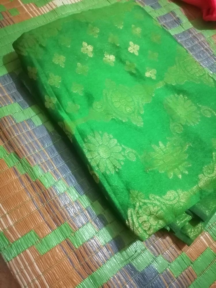 Green Big Border Saree