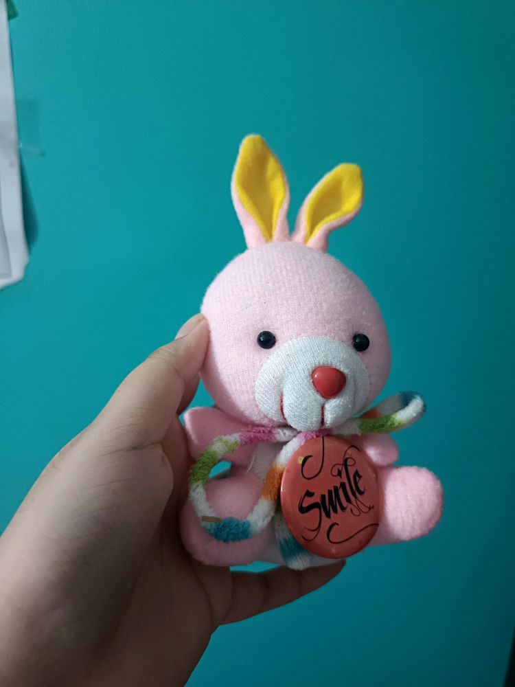 Cute Pink Bunny With A Broch