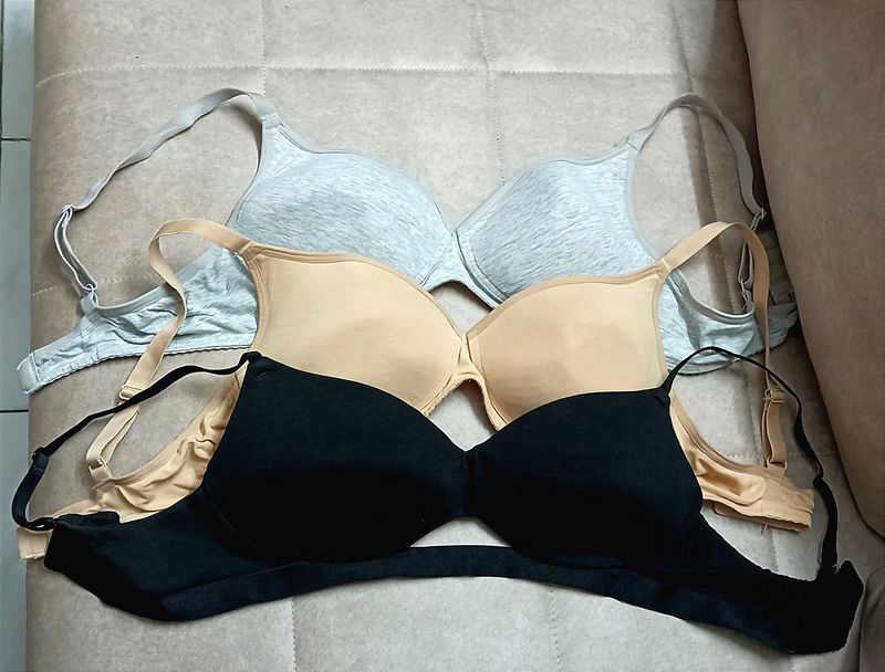 Padded Bras Combo (Enamor)