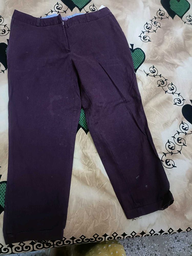 Cantabil Brand Wine Capri In 32 Waist