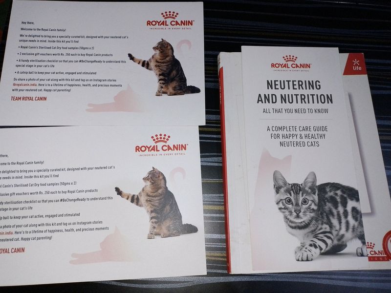 Royal Canin Cat Journaling Diary