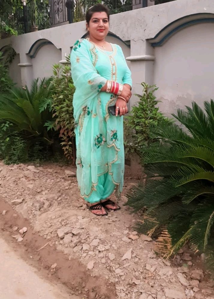 Cutwork Style Pista Color Punjabi Suit