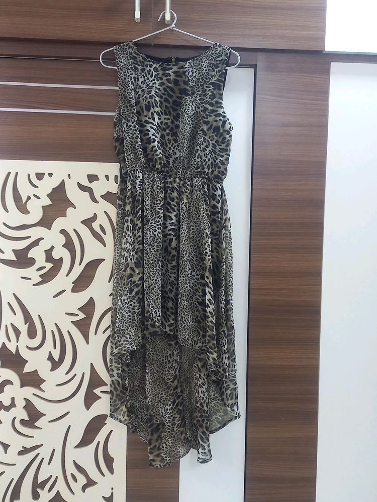 Party Wear Dress