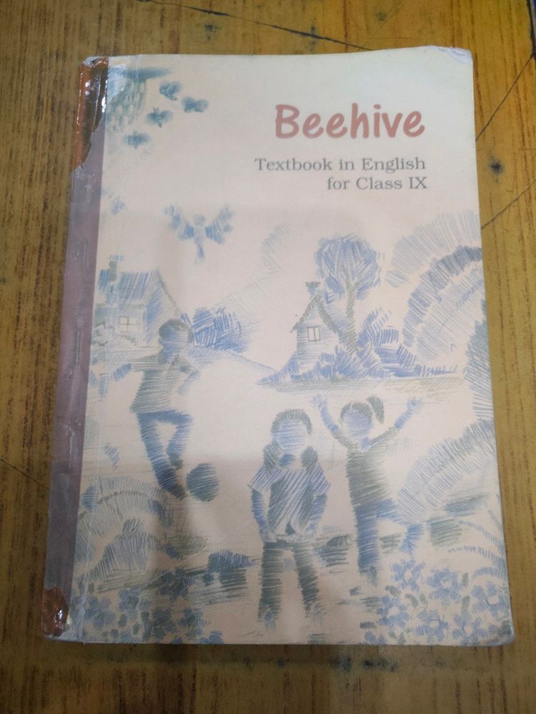 Class 9 Th English Beehive And Hindi Sanchayan-b