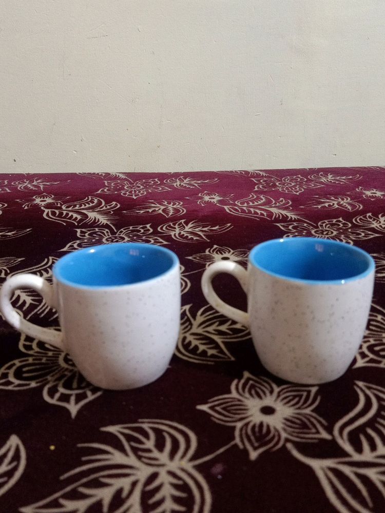 Two Beautiful Cute Tea Cups