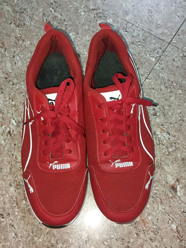 Puma Man Shoe