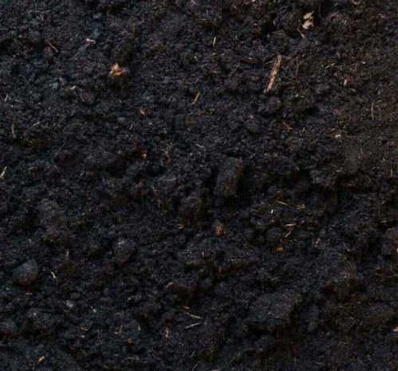 10 Pots 6 Inch Cocopeat, Vermi compost 1kg