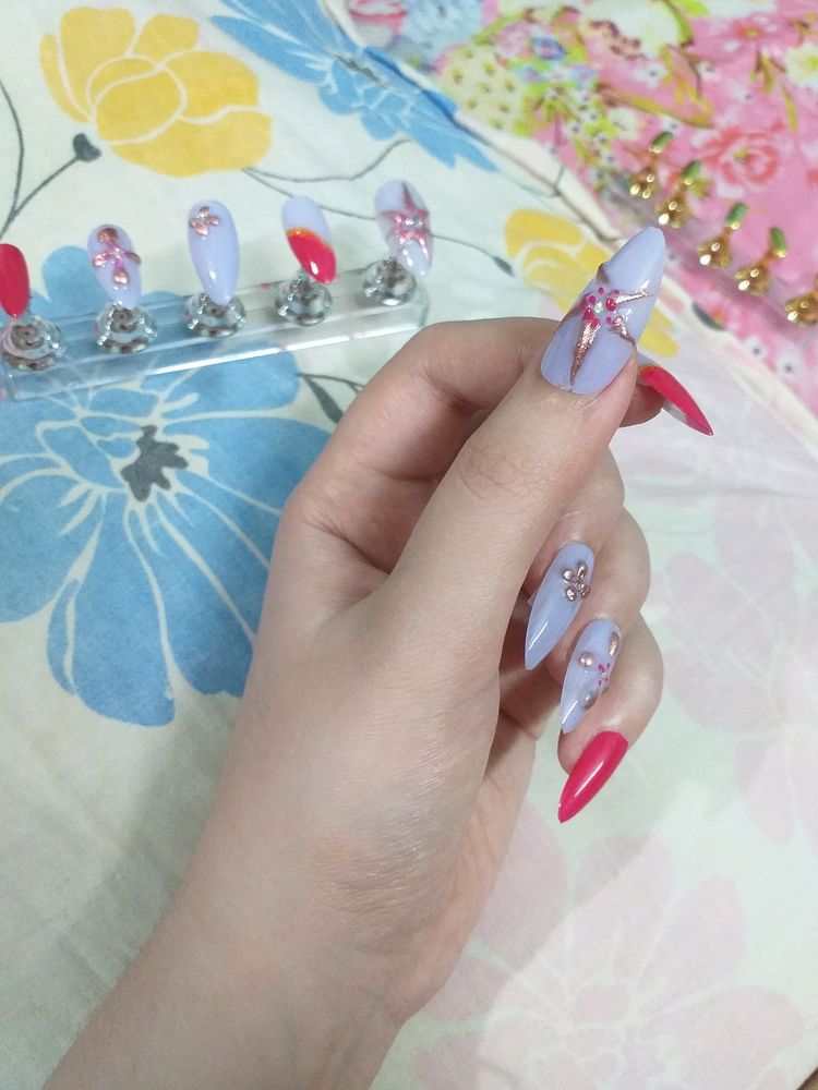 Press On Nails(Wildflowers🏵)