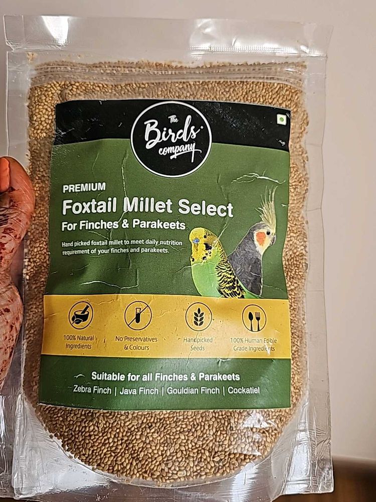 Foxtail Millet Select . Bird Food