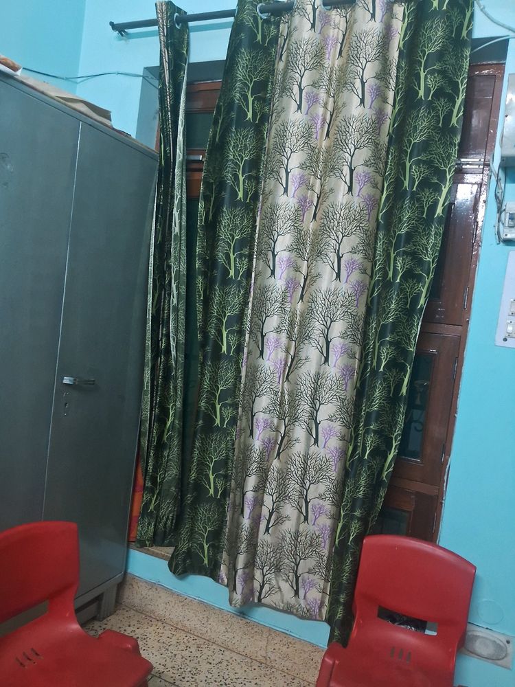 Curtain