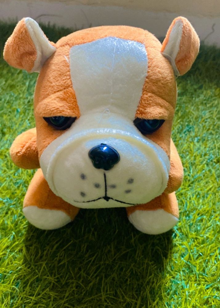 Doggy Soft Toy