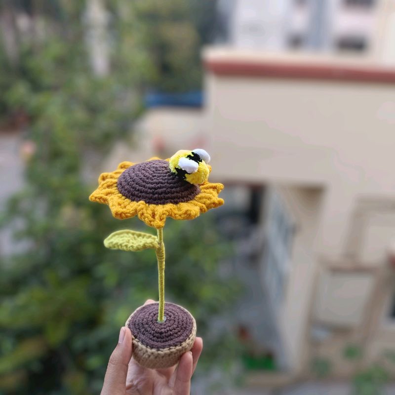 Sunflower Pot Plant With 🐝 💕