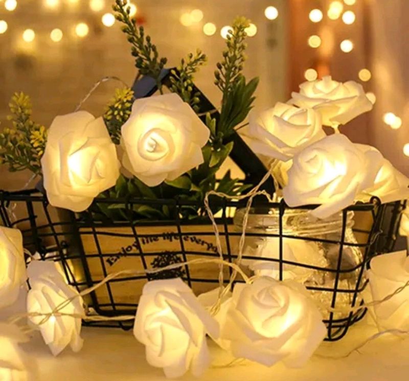 Price drop! Diwali Beautiful Rose Lights New