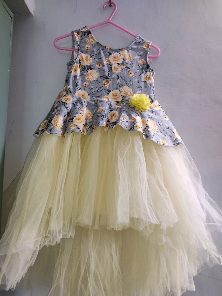 Brand New Organza Birthday Dress