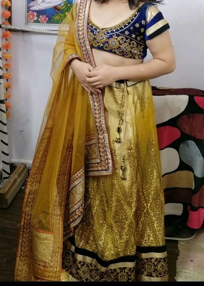 Lehenga(coins Or Swap Accepted)